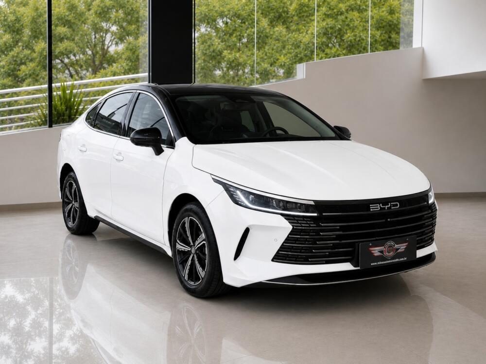 BYD King