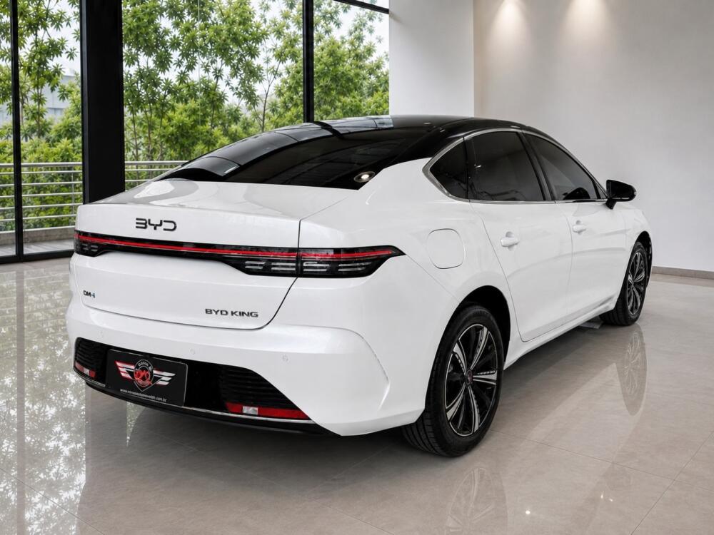 BYD King