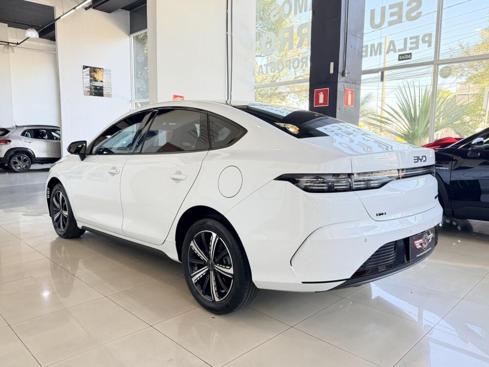 BYD King