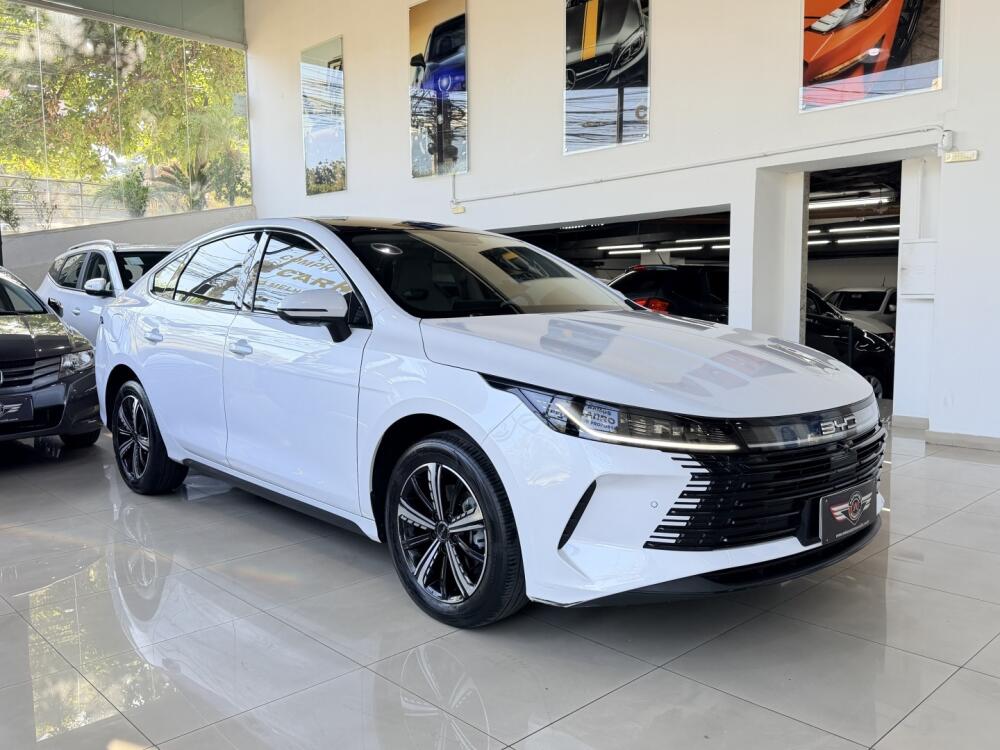 BYD King