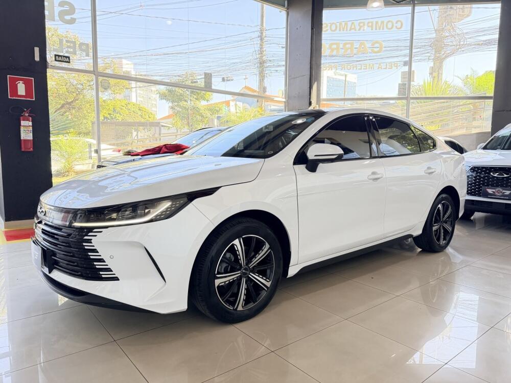 BYD King