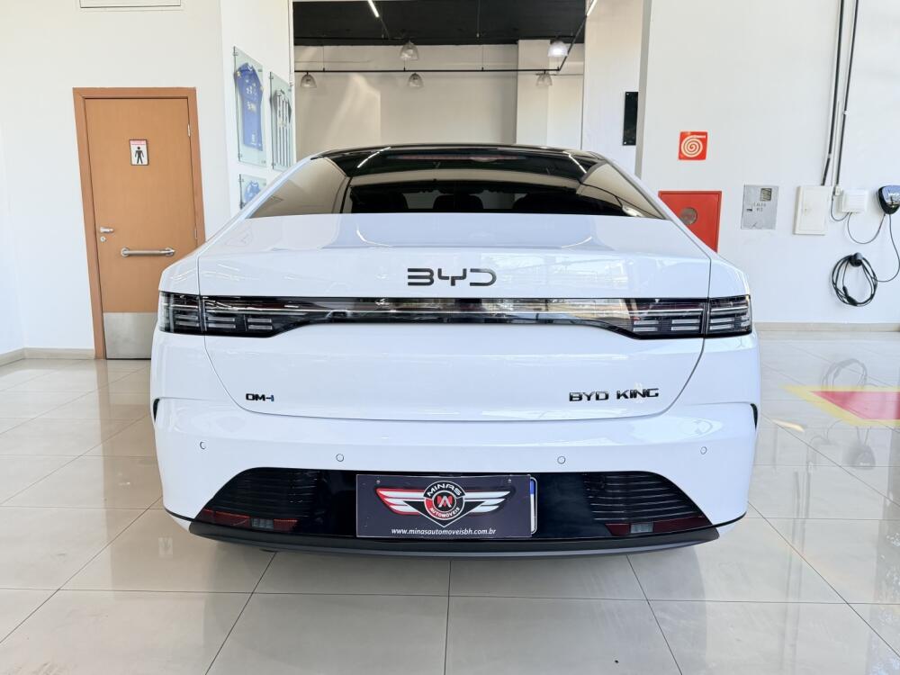 BYD King