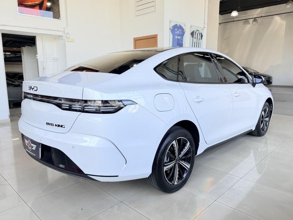 BYD King