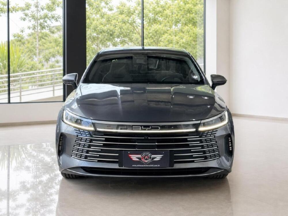 BYD King