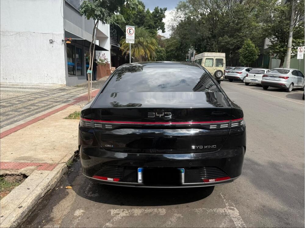 BYD King