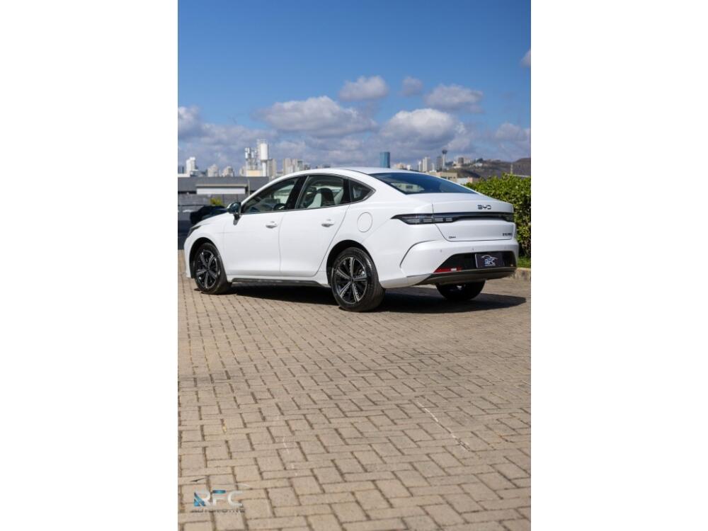 BYD King