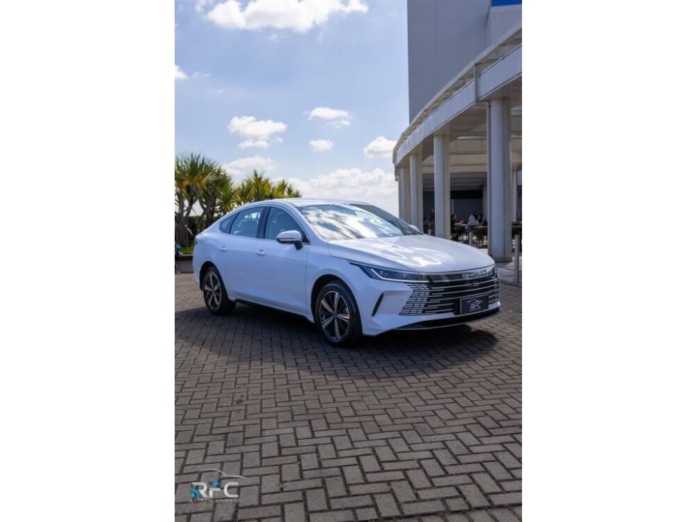 BYD King