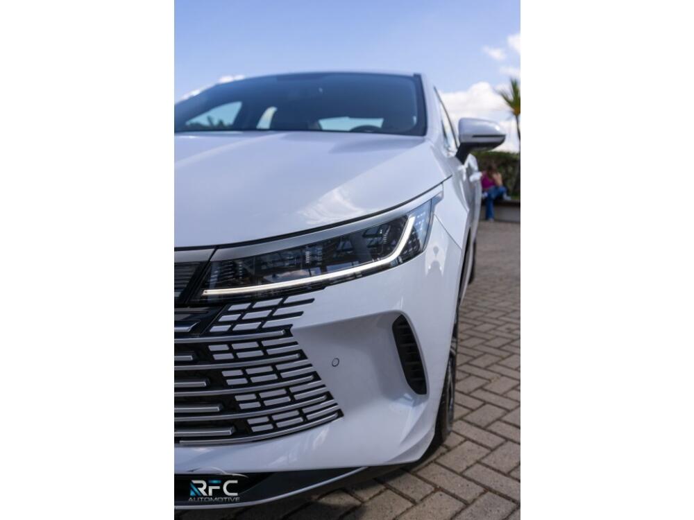 BYD King