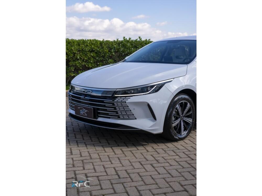 BYD King
