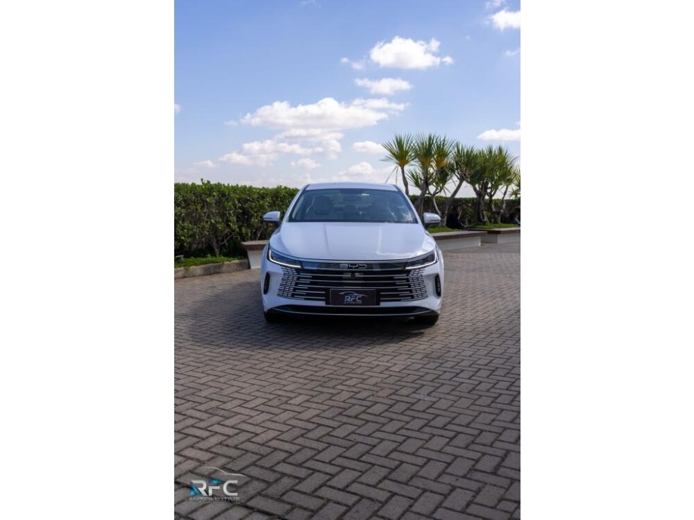BYD King