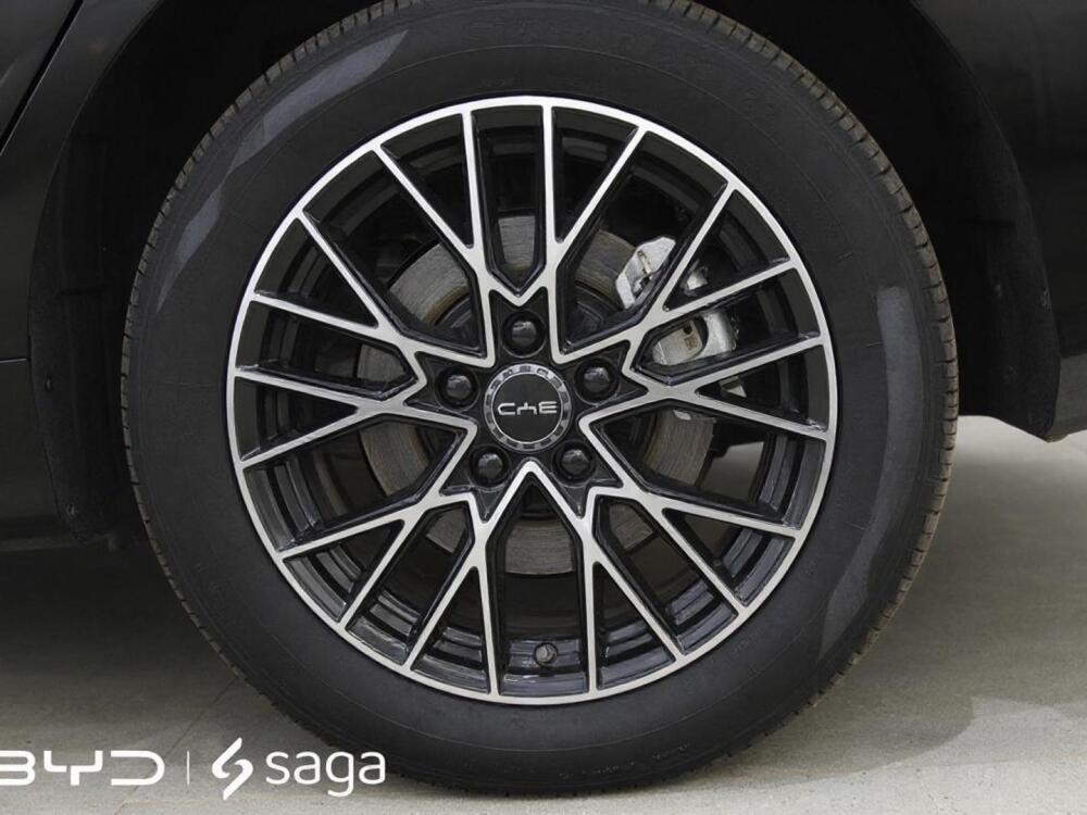BYD King