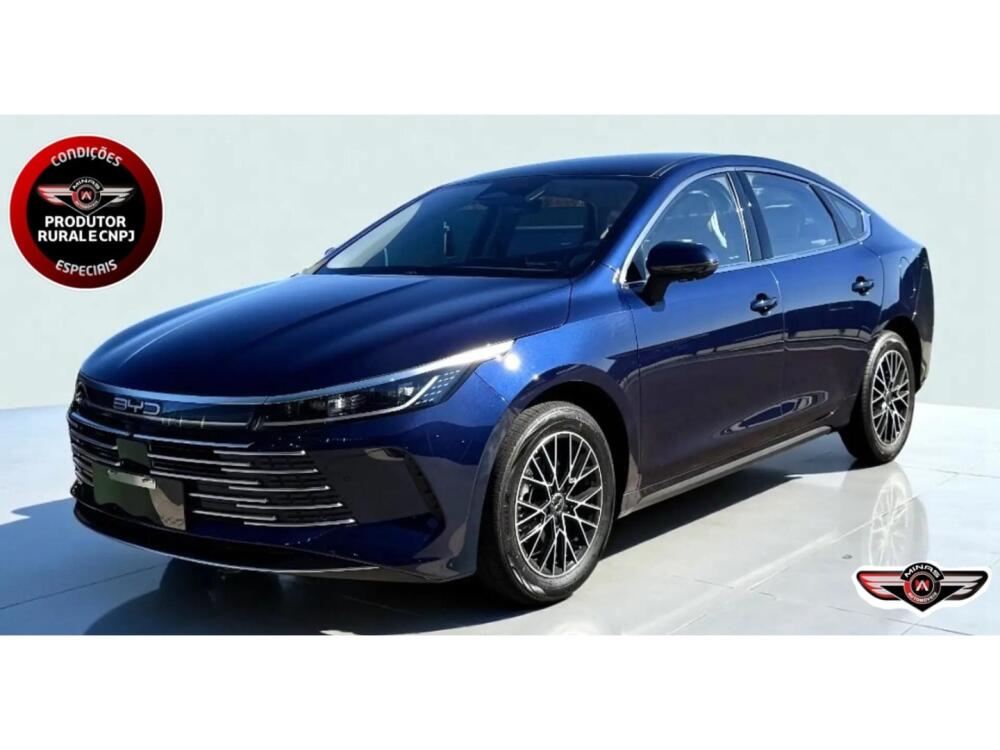 BYD King