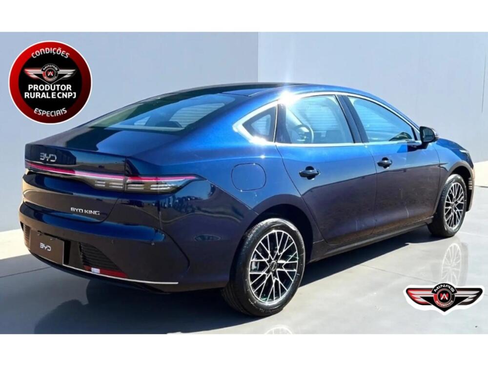 BYD King