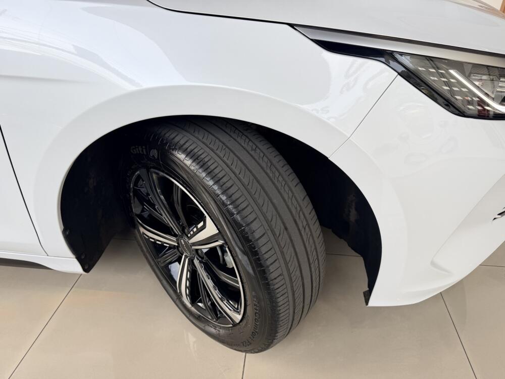 BYD King