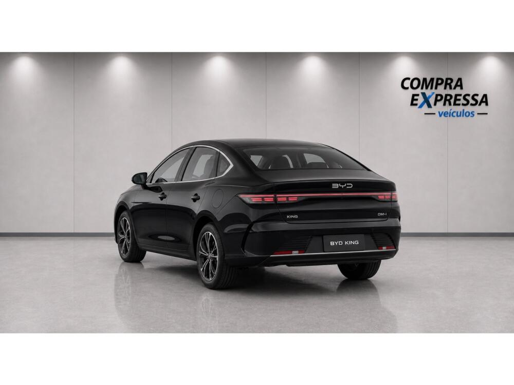 BYD King