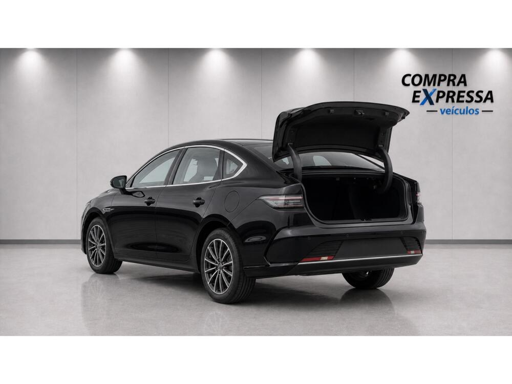 BYD King