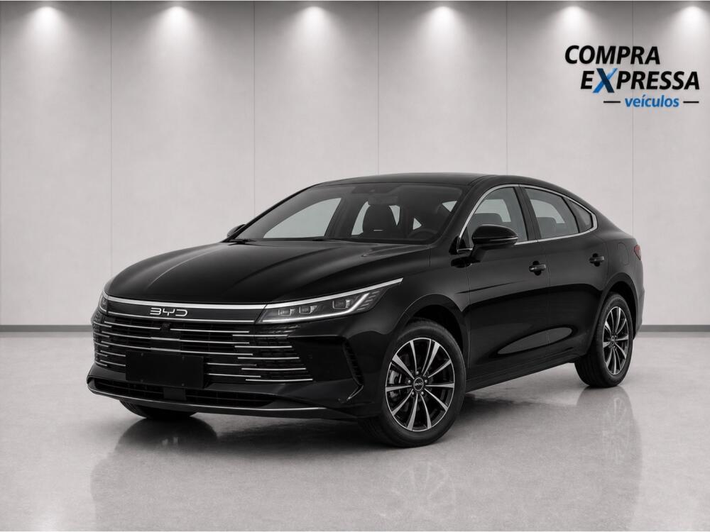 BYD King