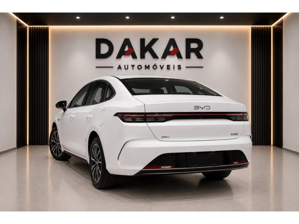 BYD King