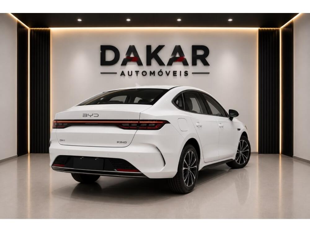 BYD King