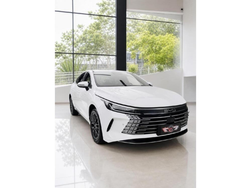 BYD King