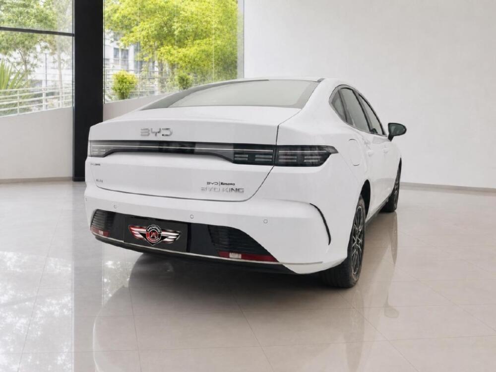 BYD King
