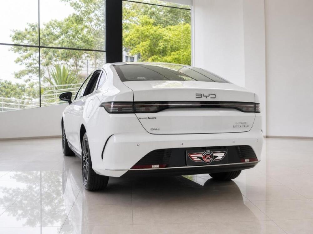 BYD King