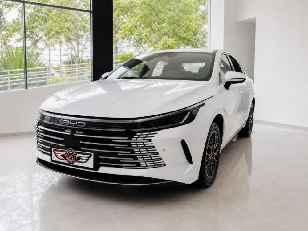 BYD King