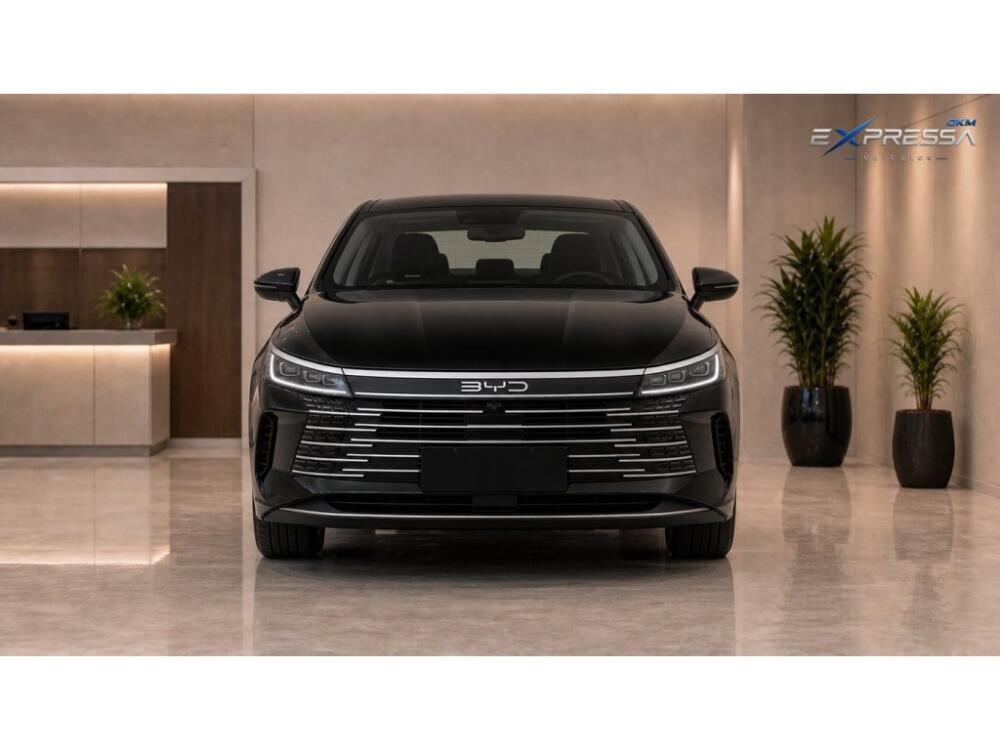 BYD King