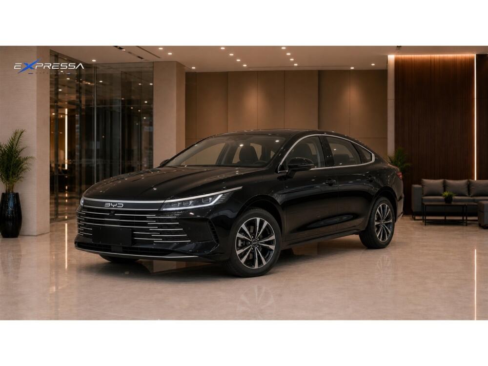 BYD King