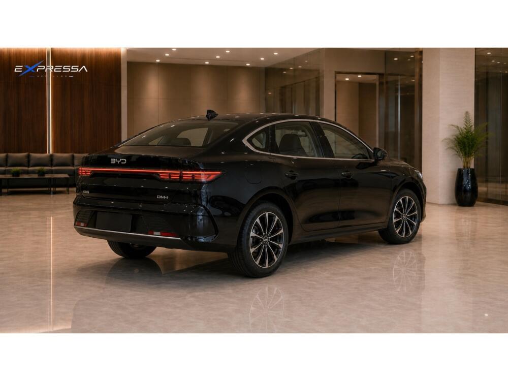 BYD King