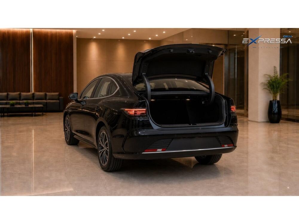 BYD King