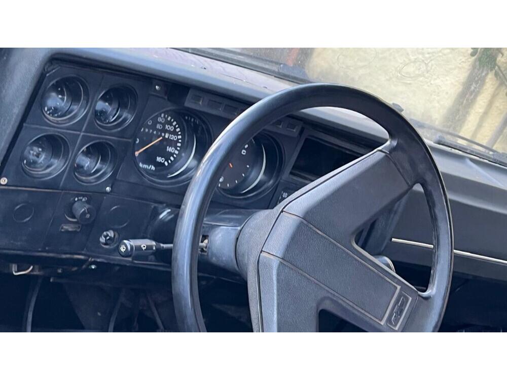 Chevrolet D 20