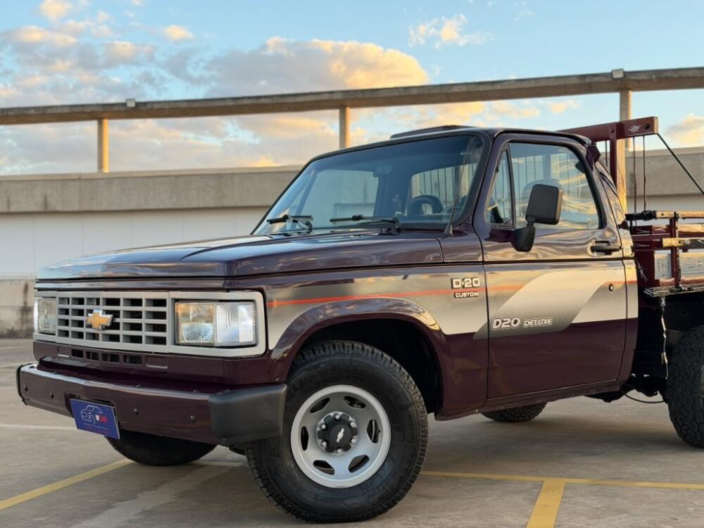 Chevrolet D 20