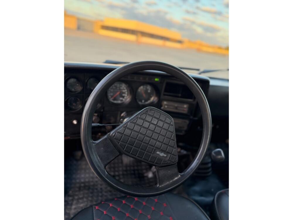 Chevrolet D 20
