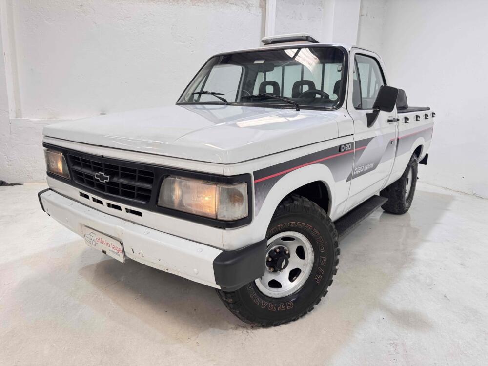 Chevrolet D 20