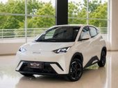 BYD Dolphin Mini