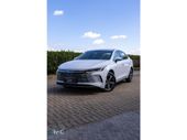 BYD King