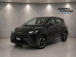 BYD Dolphin Mini