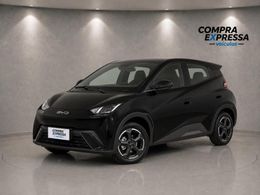 BYD Dolphin Mini