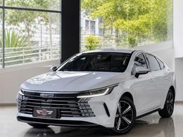 BYD King