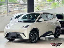BYD Dolphin Mini