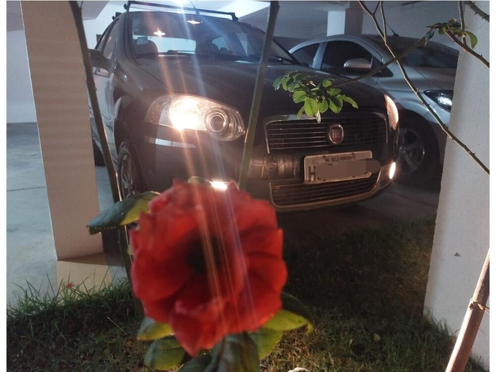 Fiat Siena