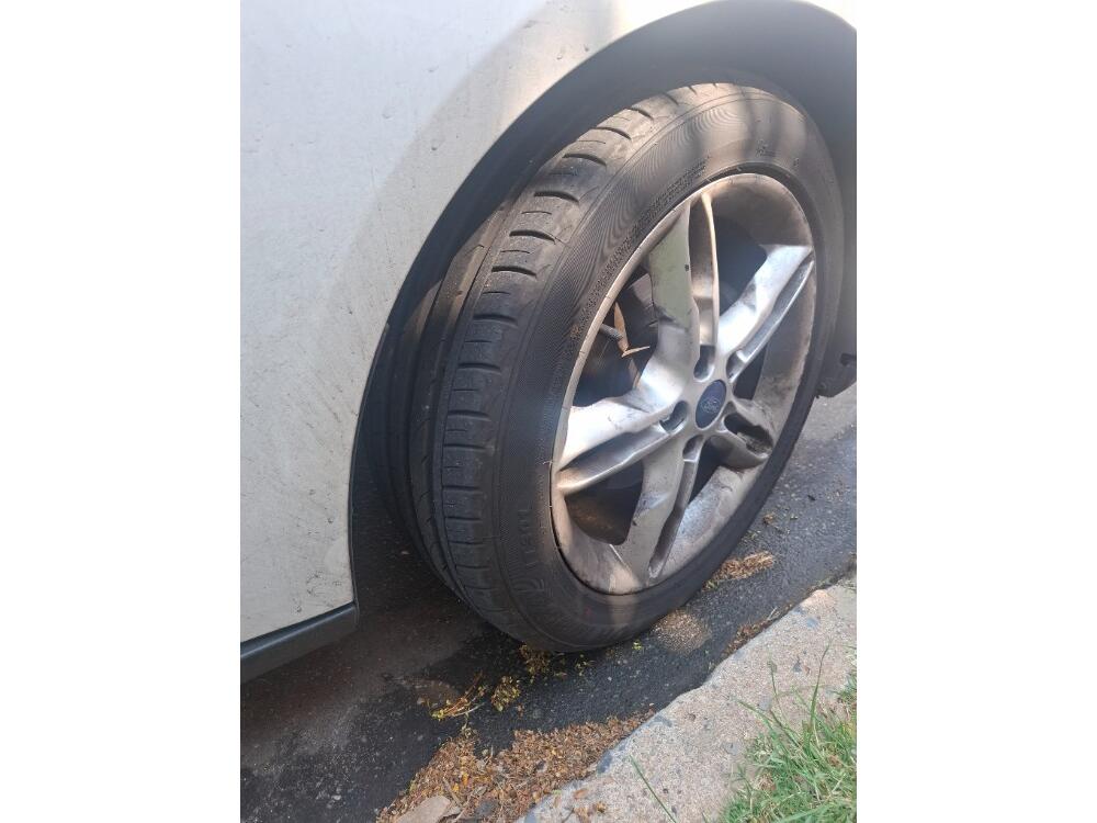 Ford Focus Hatch