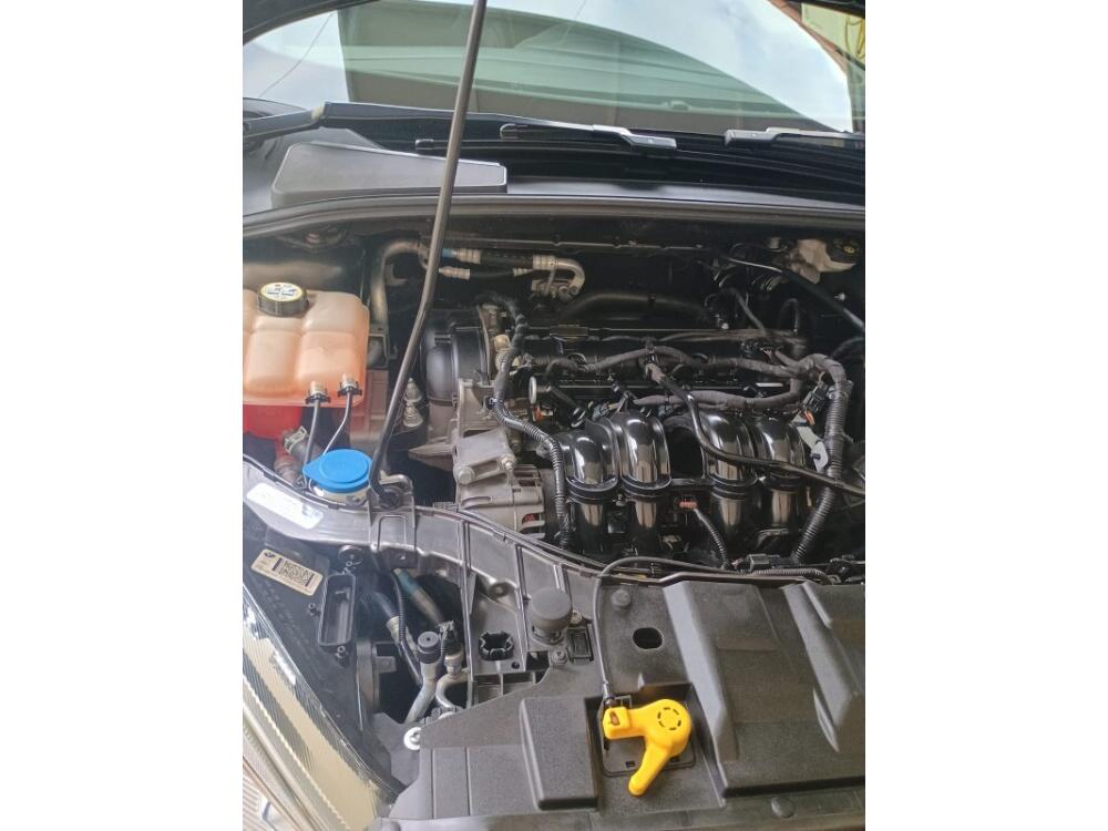 Ford Focus Hatch