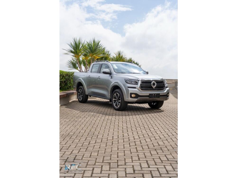GWM Poer P30