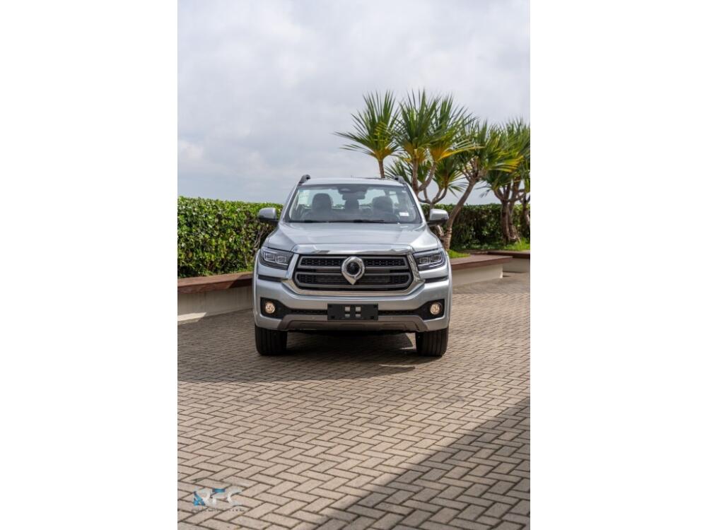 GWM Poer P30