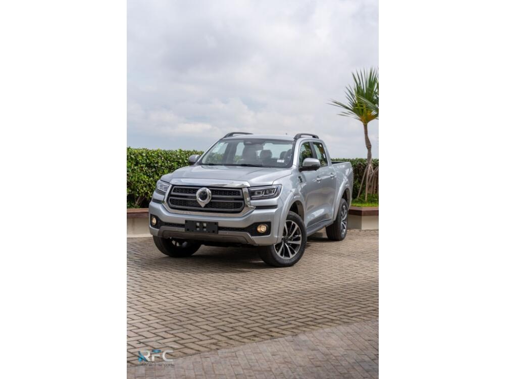 GWM Poer P30
