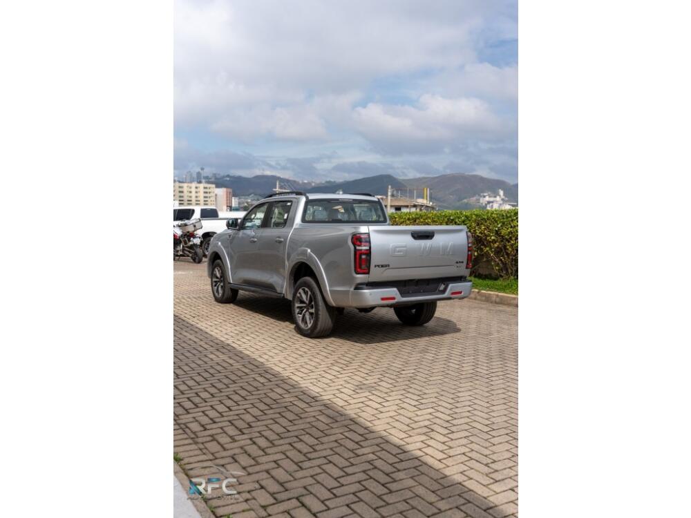 GWM Poer P30