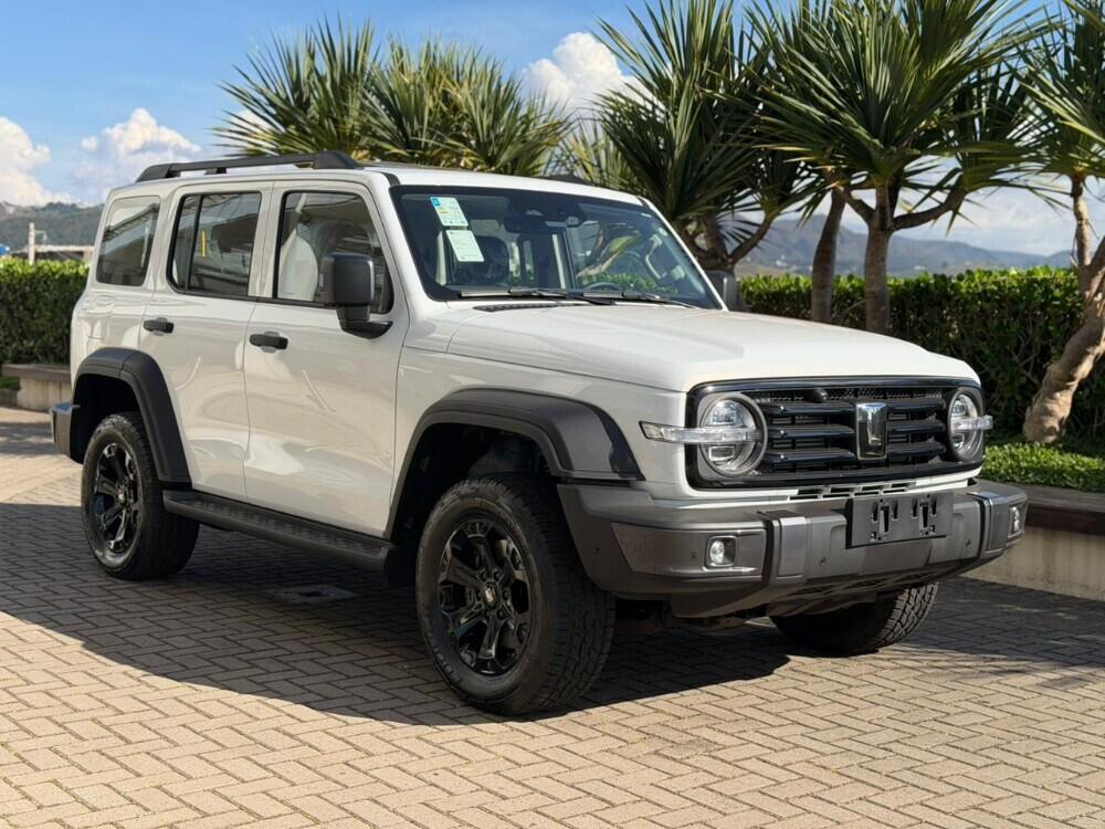 GWM Tank 300