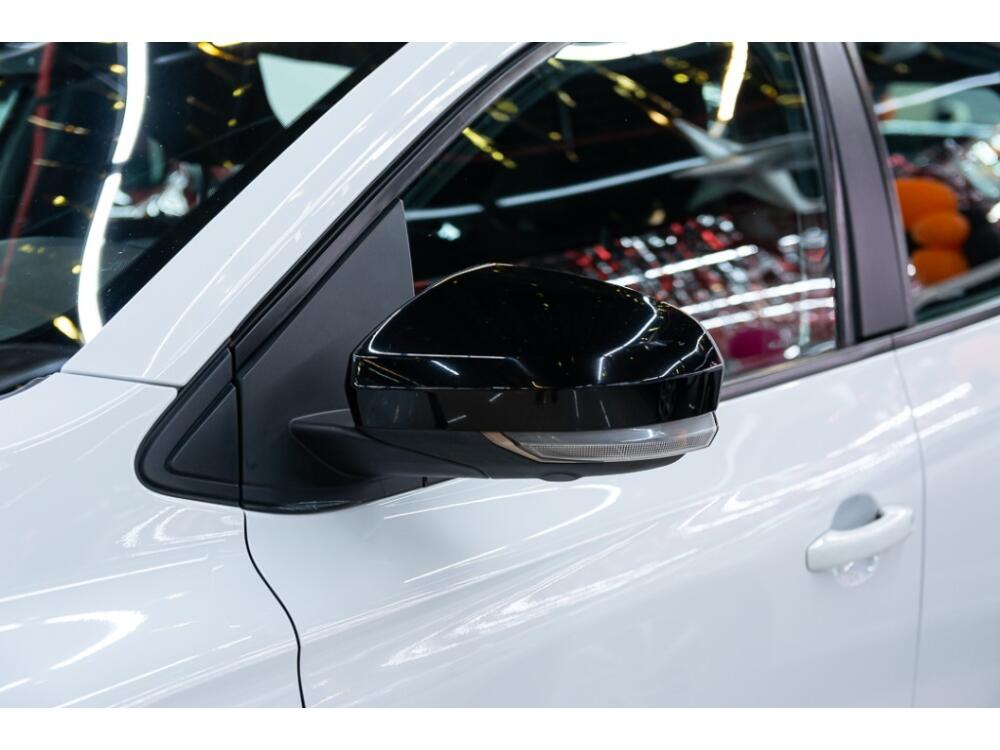 Renault Kardian